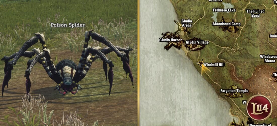 Venomous Spider l2