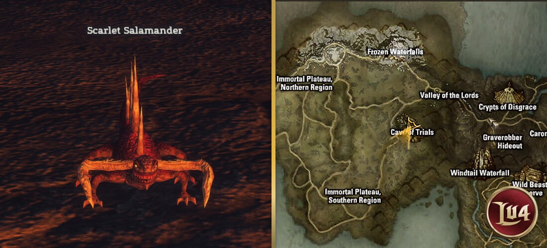 Scarlet Salamander l2