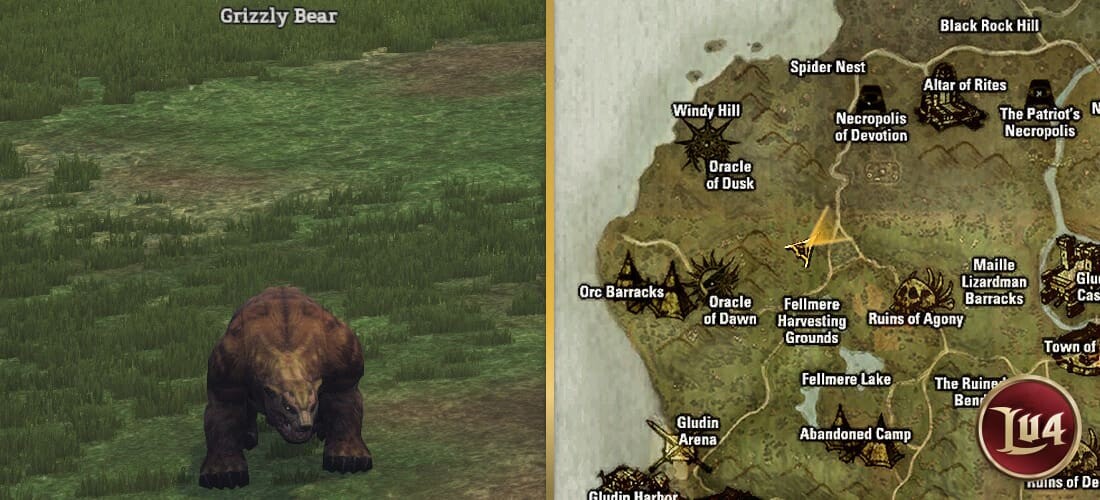 Grizzly Bear l2