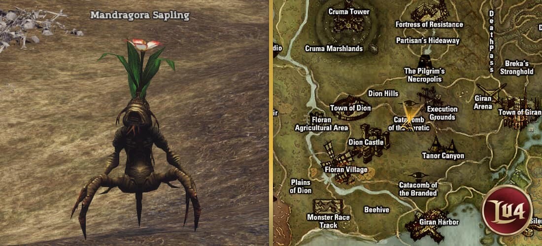 Mandragora Sapling l2