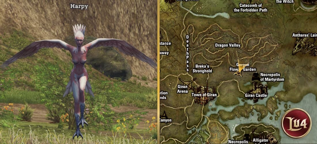 Harpy l2
