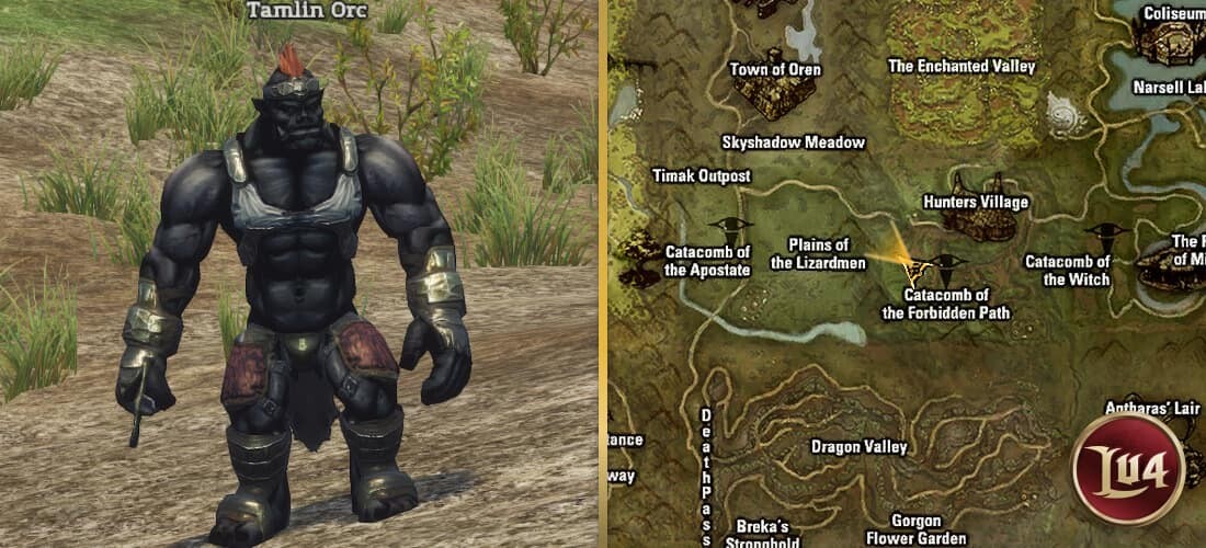 Tamlin Orc l2