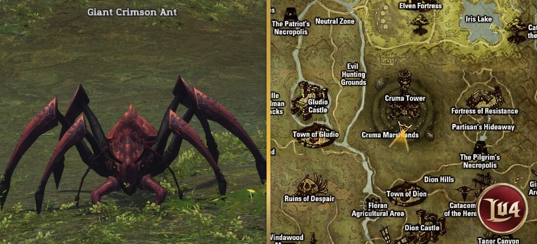 Giant Crimson Ant l2