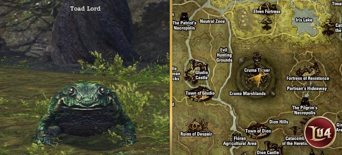 Toad Lord l2