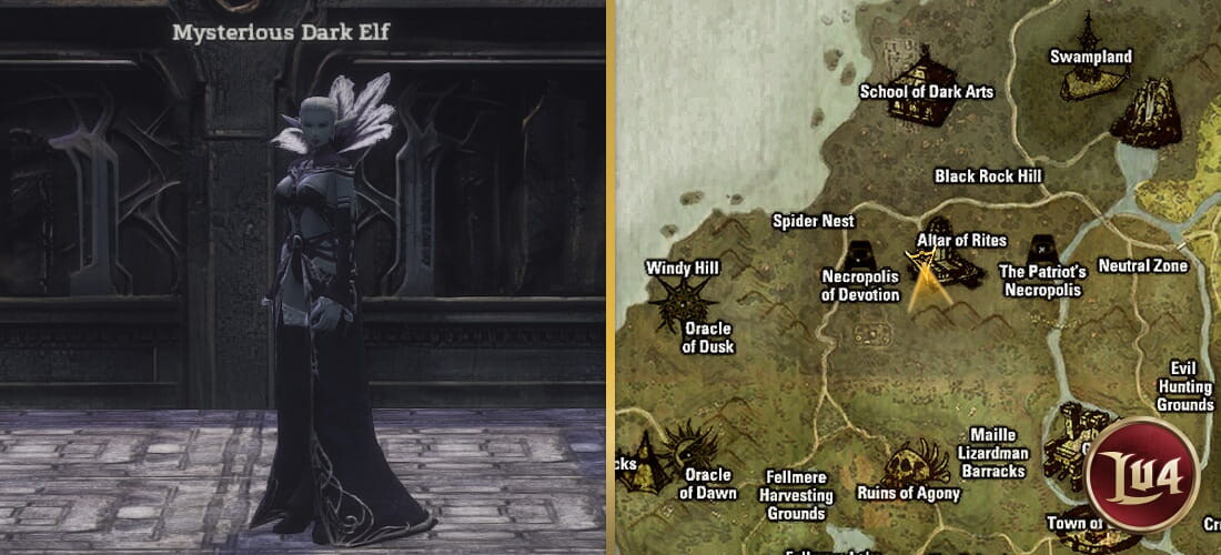 Mysterious Dark Elf l2