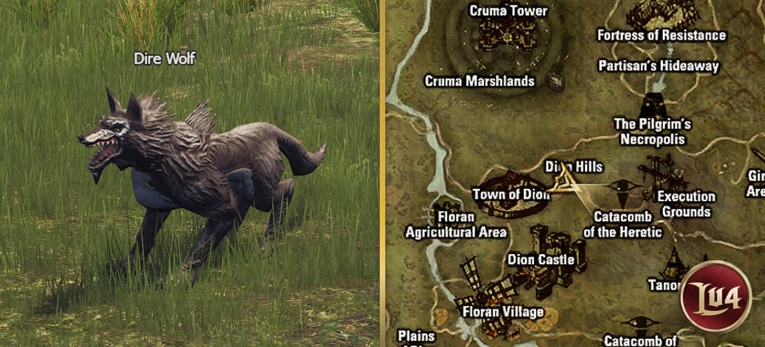 Dire Wolf l2