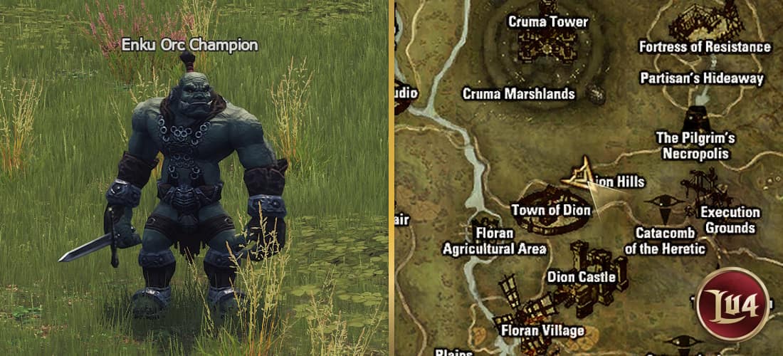Enku Orc Champion l2