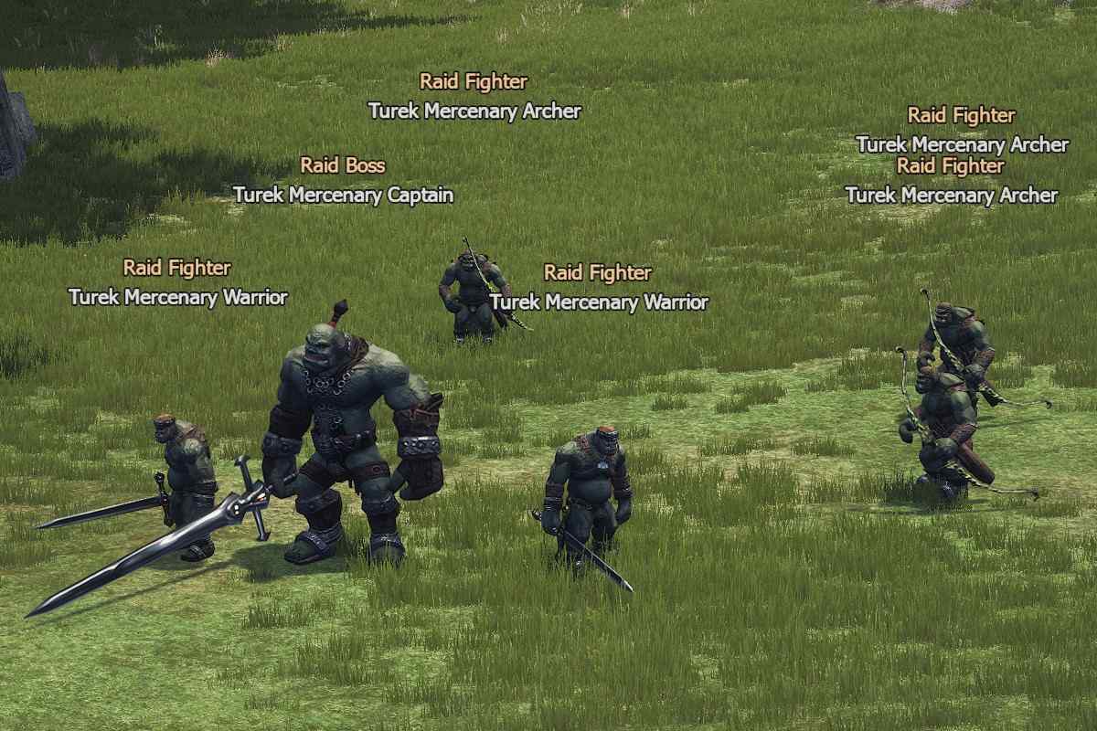 Turek Mercenary Captain l2