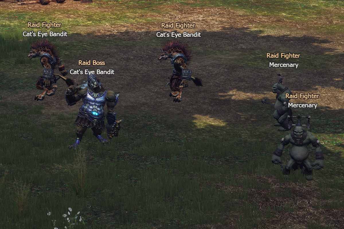 Cat's Eye Bandit l2