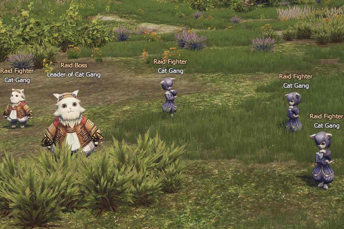 Leader of Cat Gang l2