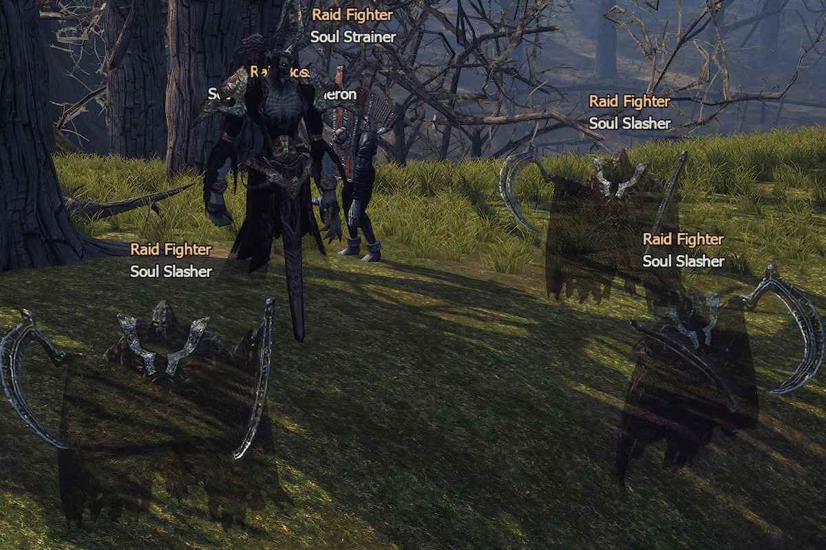 Soul Collector Acheron l2