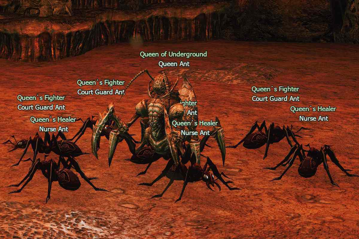Queen Ant l2