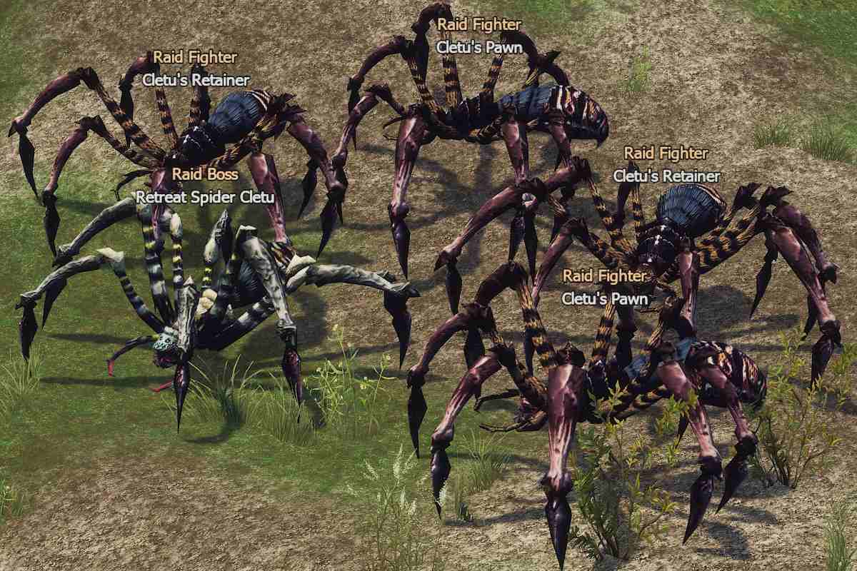 Retreat Spider Cletu l2