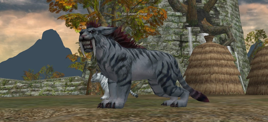 Full Grown Cougar l2