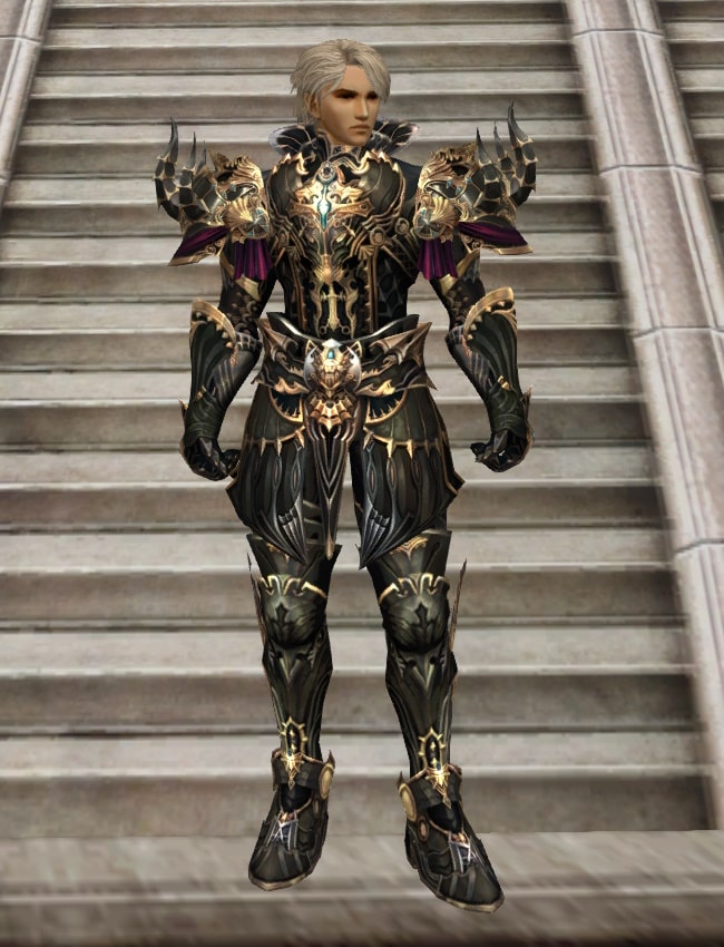 Eternal Peerless heavy armor set l2