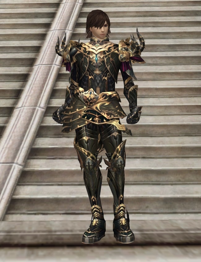 Eternal Peerless heavy armor set l2