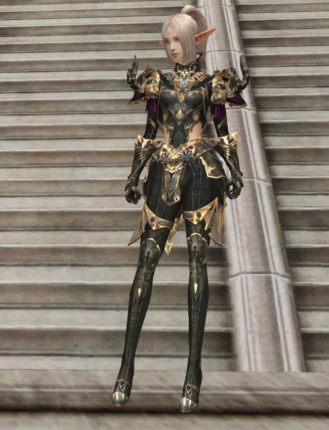 Eternal Peerless heavy armor set l2