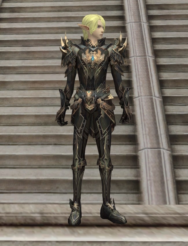 Eternal Peerless leather armor set l2