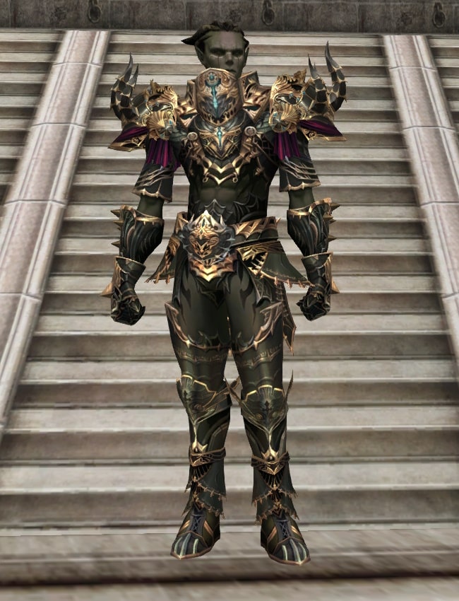 Eternal Peerless heavy armor set l2