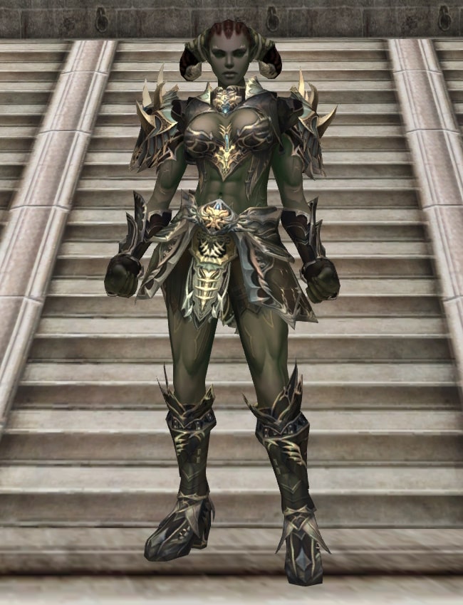 Eternal Peerless leather armor set l2