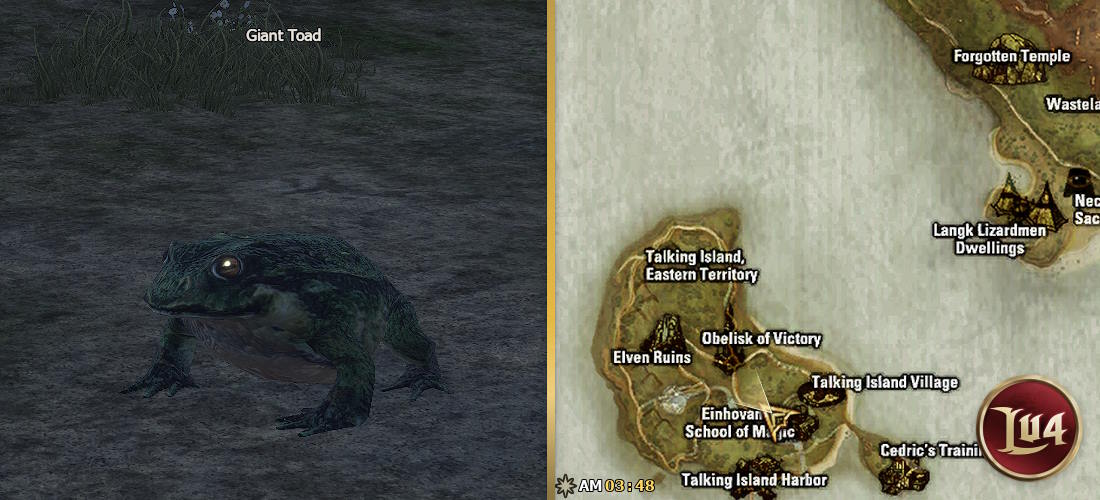 Giant Toad