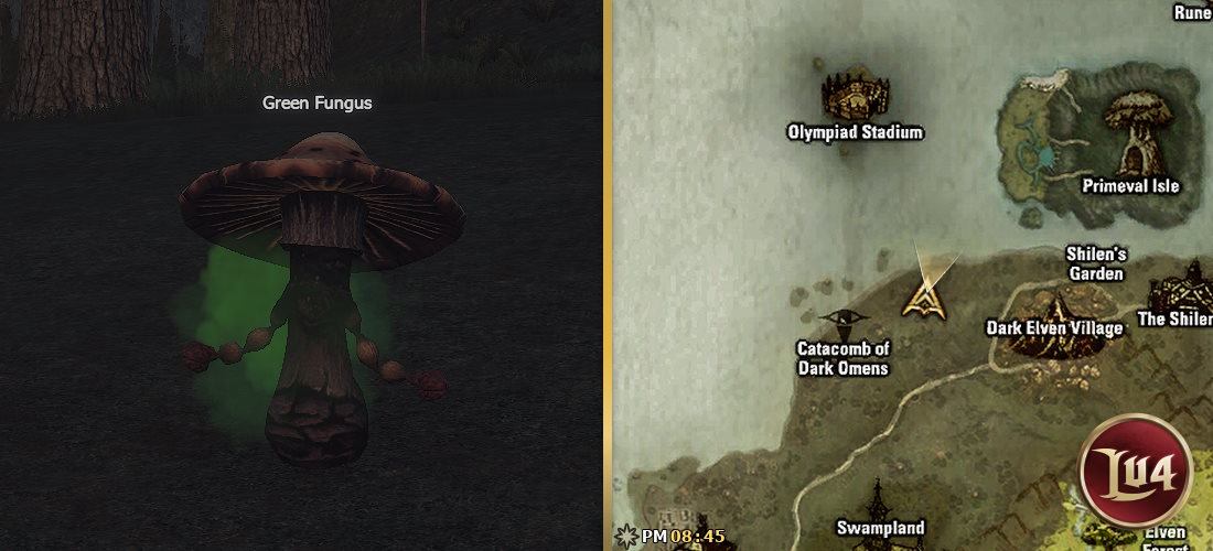 Green Fungus