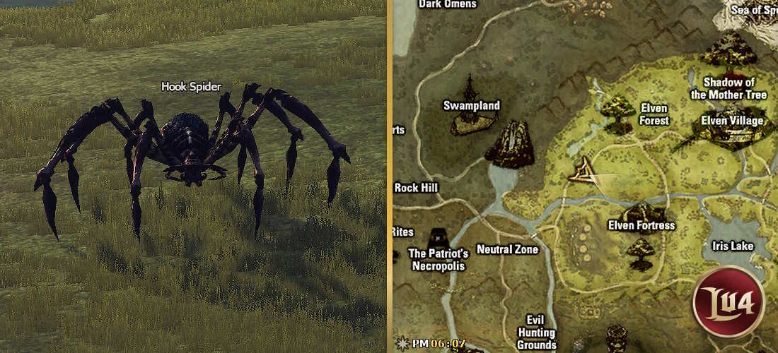 Hook Spider