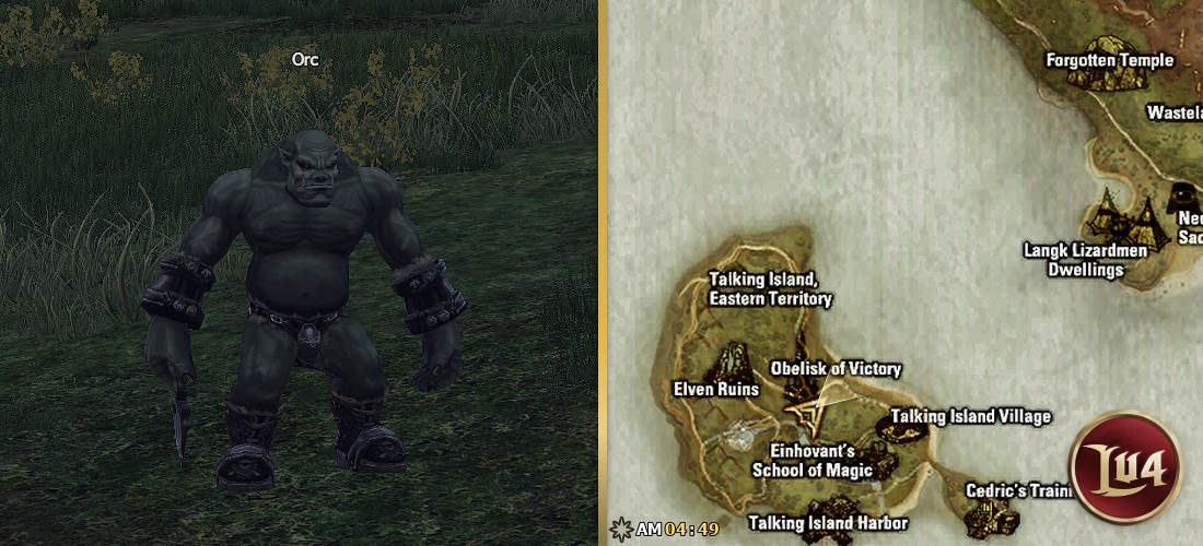 Orc