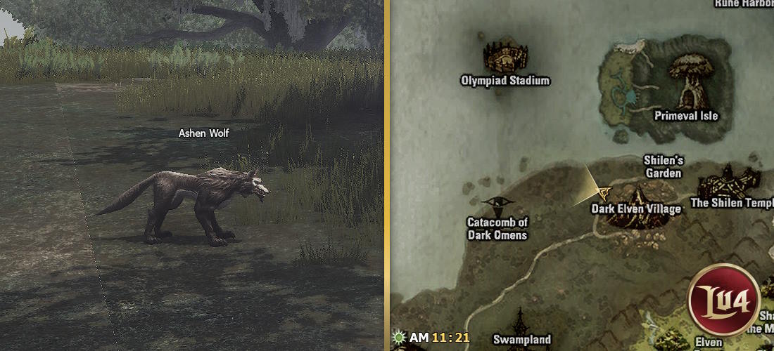 Ashen Wolf