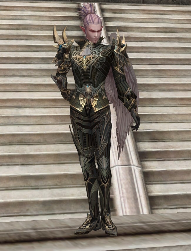 Eternal Peerless leather armor set l2