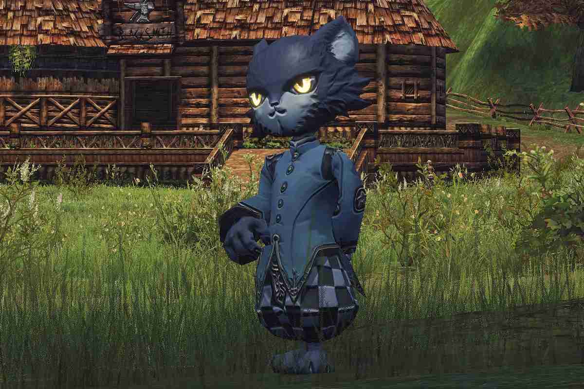 Kai the Cat Lu4