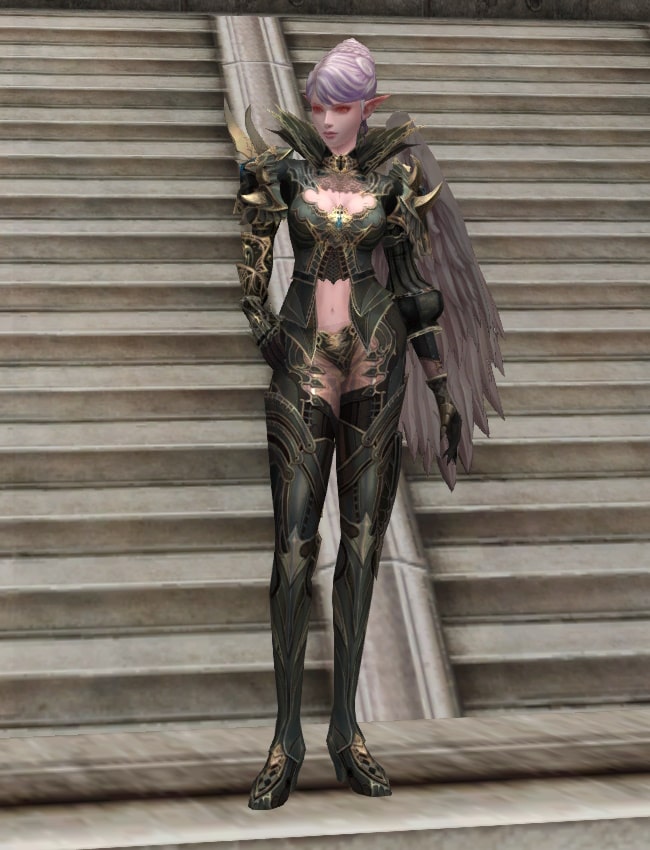 Eternal Peerless leather armor set l2