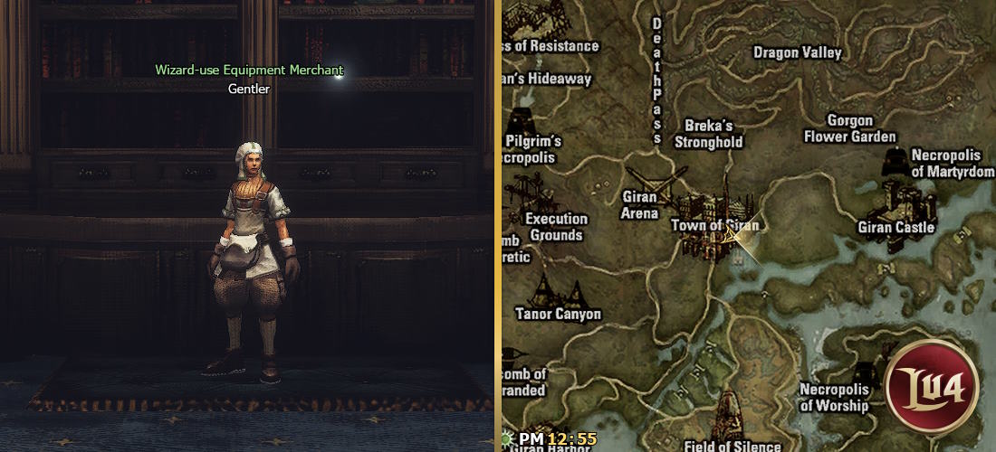 Wizard-use Equipment Merchant Gentler