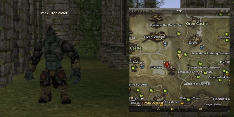 Timak Orc Soldier l2