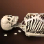 Complete Skeleton