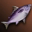 Small Purple Nimble Fish