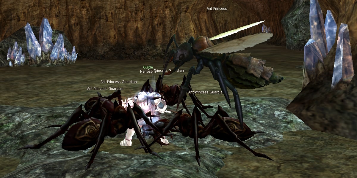 Queen Ant instance l2