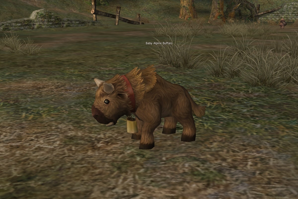 Baby Alpine Buffalo l2